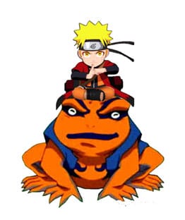 Naruto Shippuden Light Naruto and Gamakishi 20 cm - MangaShop.ro