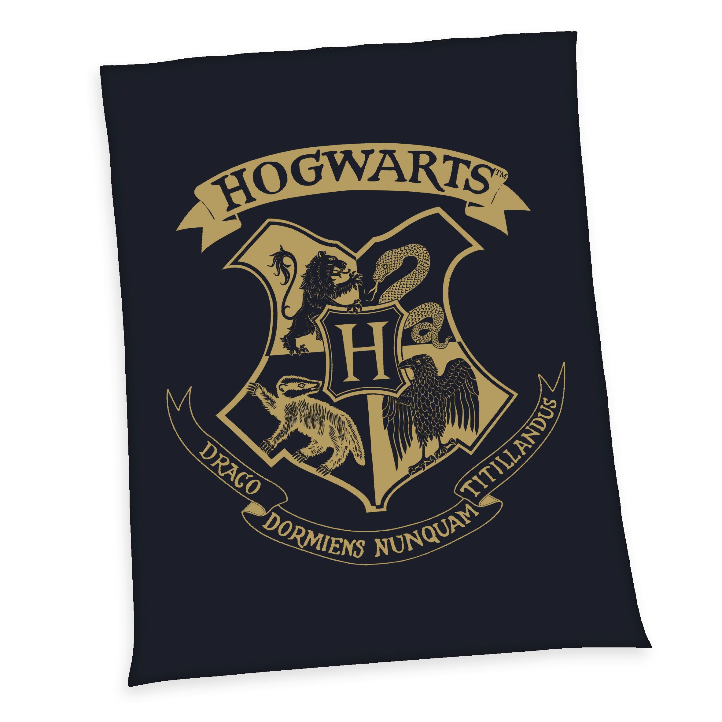 Harry Potter Fleece Blanket Hogwarts 150 x 200 cm - MangaShop.ro