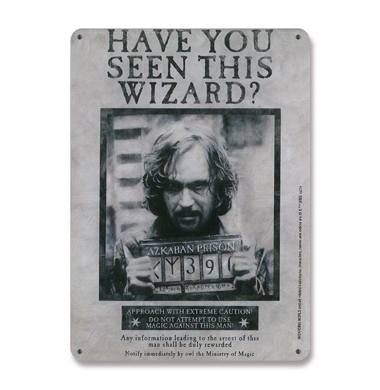 Harry Potter Tin Sign Have You Seen This Wizard 15 x 21 cm - MangaShop.ro