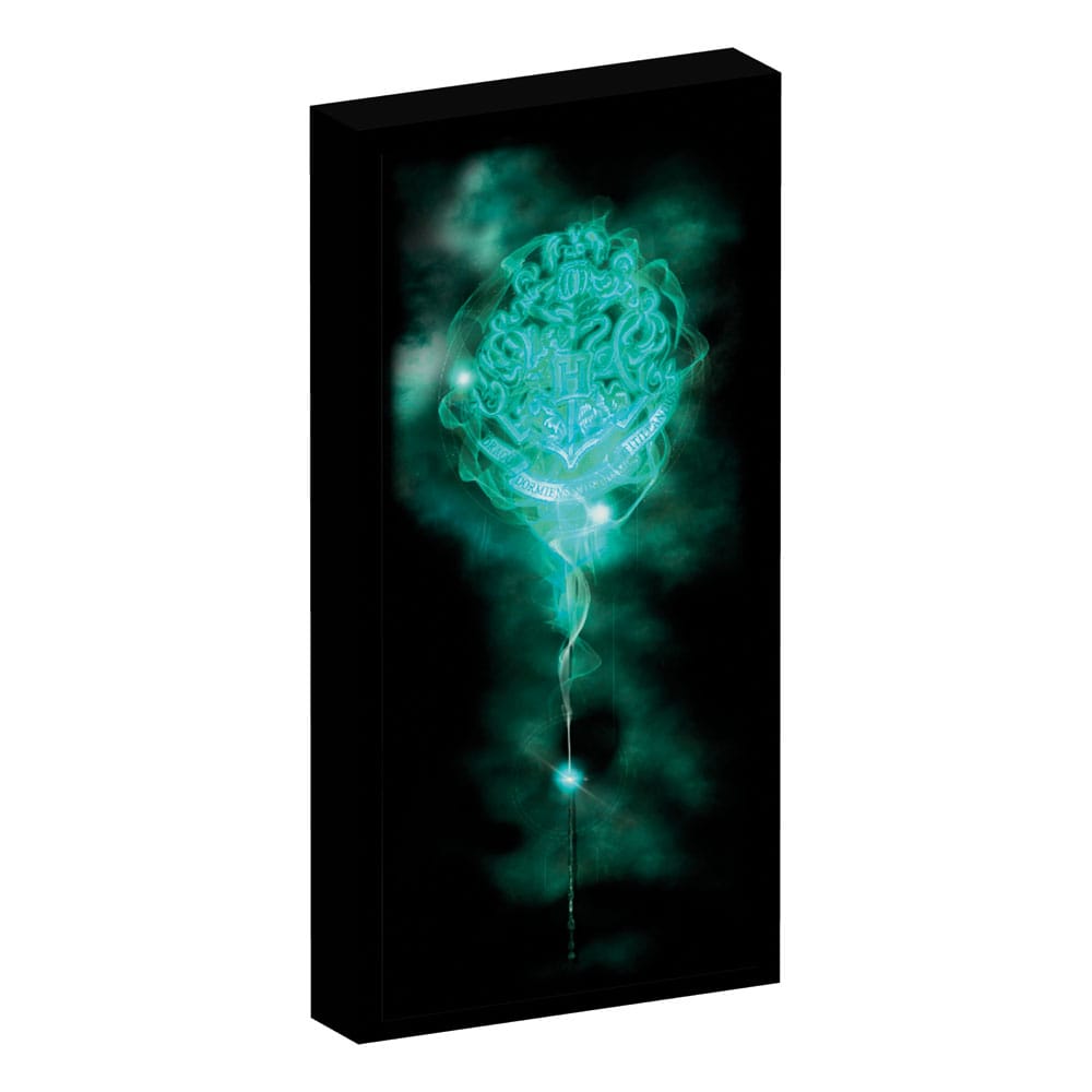 Harry Potter Canvas Poster (With Light) - MangaShop.ro