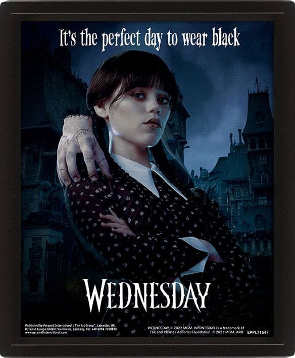 Wednesday 3D Lenticular Framed Poster Perfect Day 26 x 20 cm - MangaShop.ro
