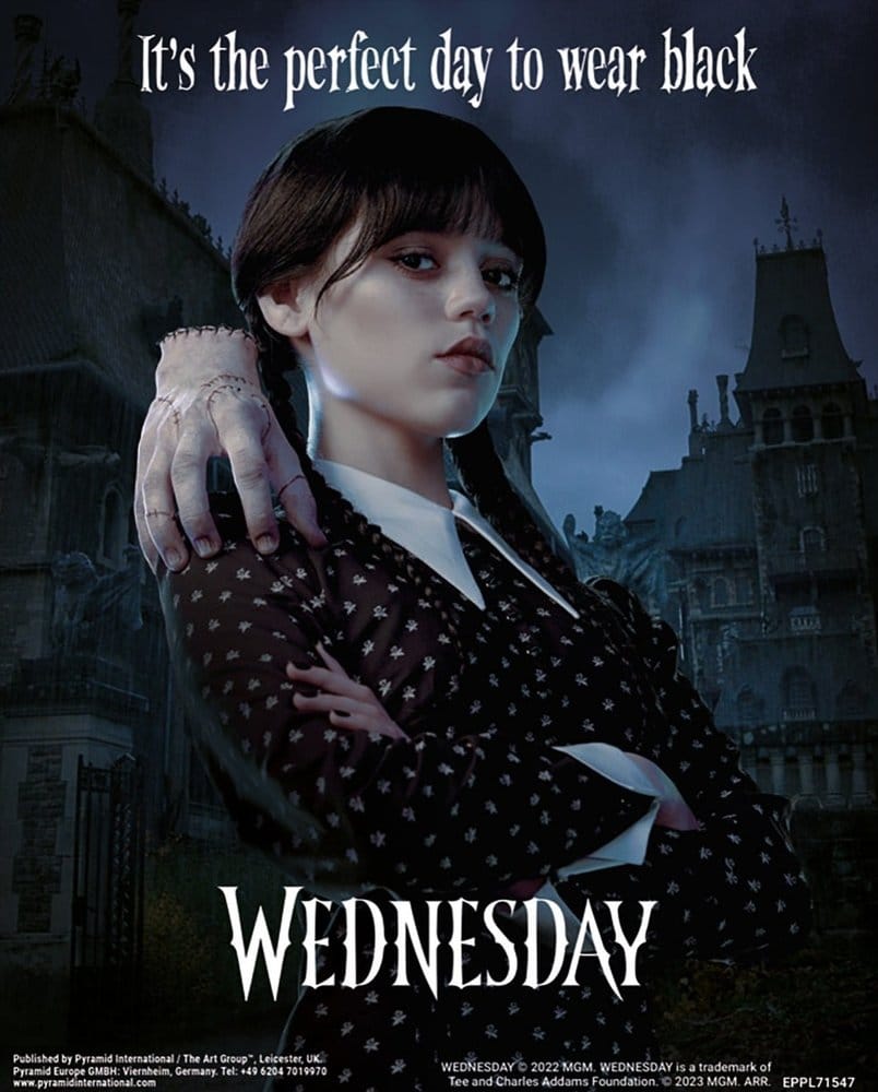 Wednesday Wednesday 3D Lenticular Poster Perfect Day 26 x 20 cm - MangaShop.ro