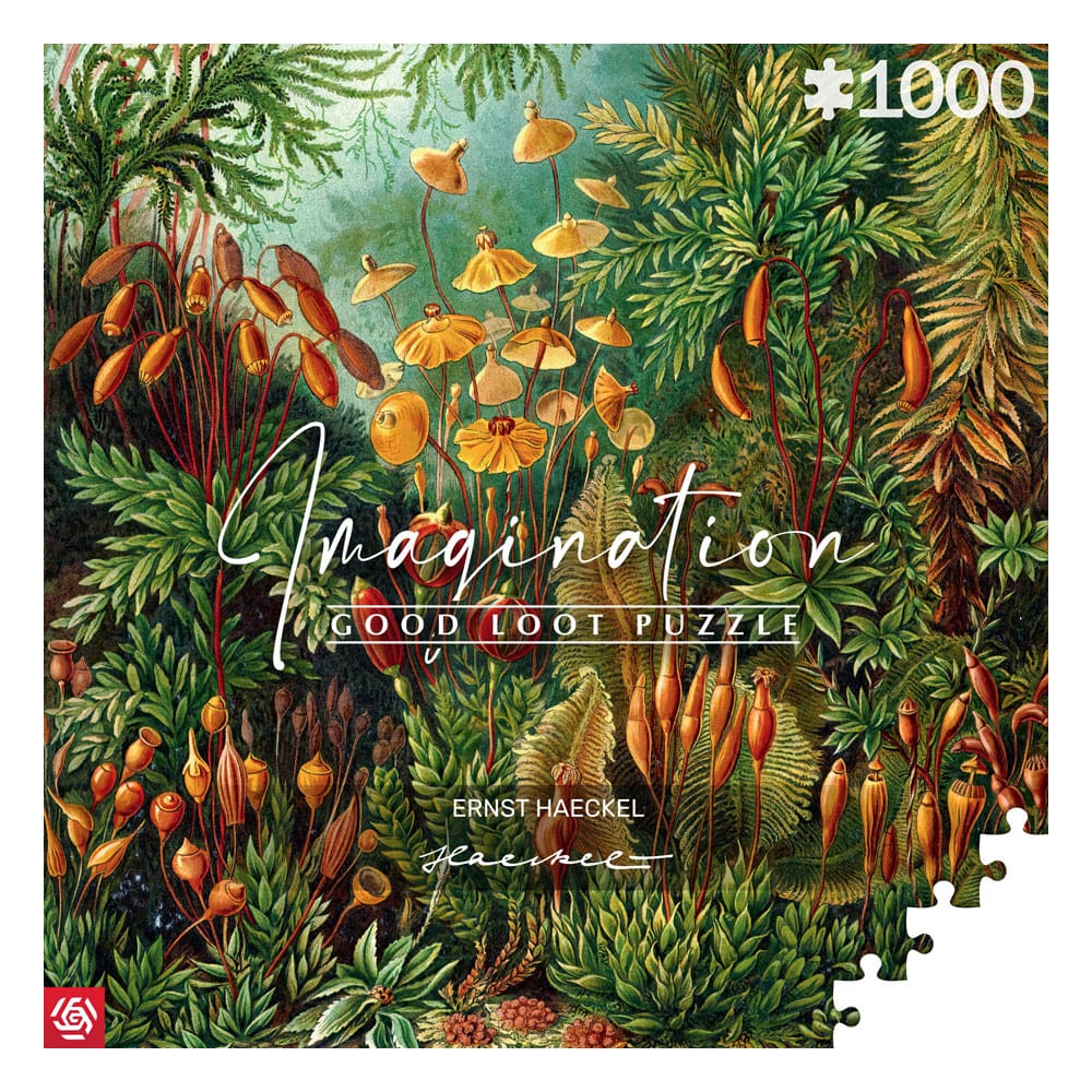 Ernst Haeckel Imagination Puzzle Muscinae (1000 pieces) - MangaShop.ro
