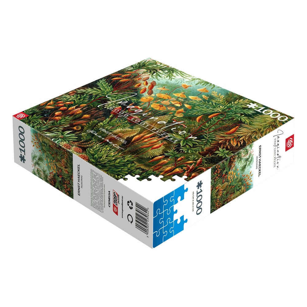 Ernst Haeckel Imagination Puzzle Muscinae (1000 pieces) - MangaShop.ro