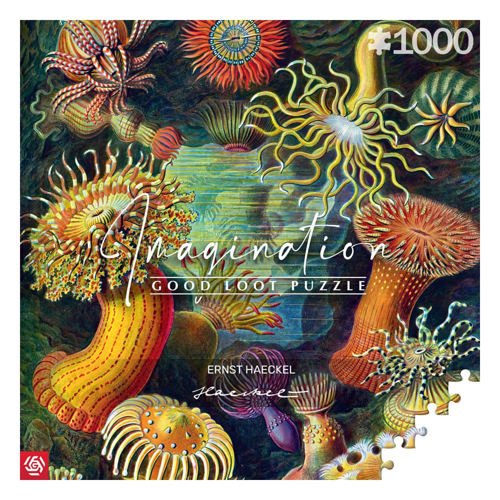 Ernst Haeckel Imagination Puzzle Sea Anemones/Stworzenia morskie (1000 pieces) - MangaShop.ro